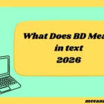 What Does BD Mean in Text 2026