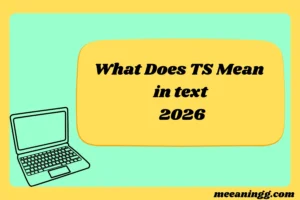 What Does TS Mean in Text