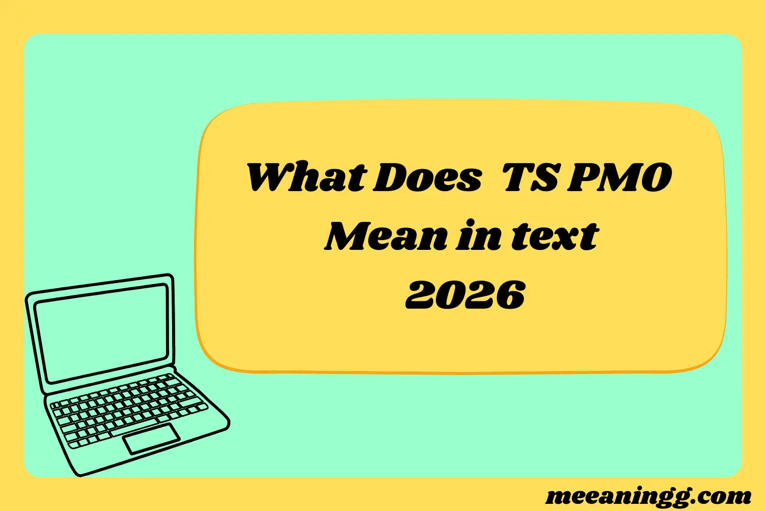 What Does TS PMO Mean in Text 2026