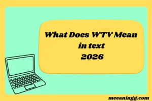 What Does WTV Mean in Text