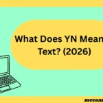 What Does YN Mean in Text? (2026)