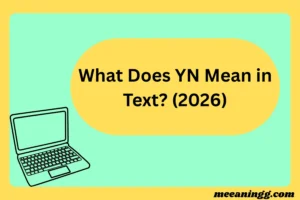 What Does YN Mean in Text? (2026)