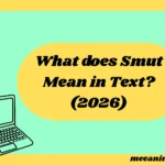 What Does Smut Mean in Text? (2026 Slang Guide With Examples & Replies)