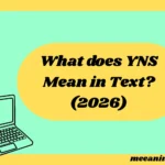What Does YNS Mean in Text? (2026 Slang Guide With Examples & Replies)