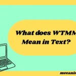 What Does WTMM Mean in Text? Real Meaning, Examples & Social Media Use